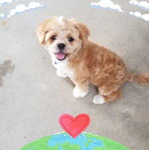 Meet your Posher, Gwen